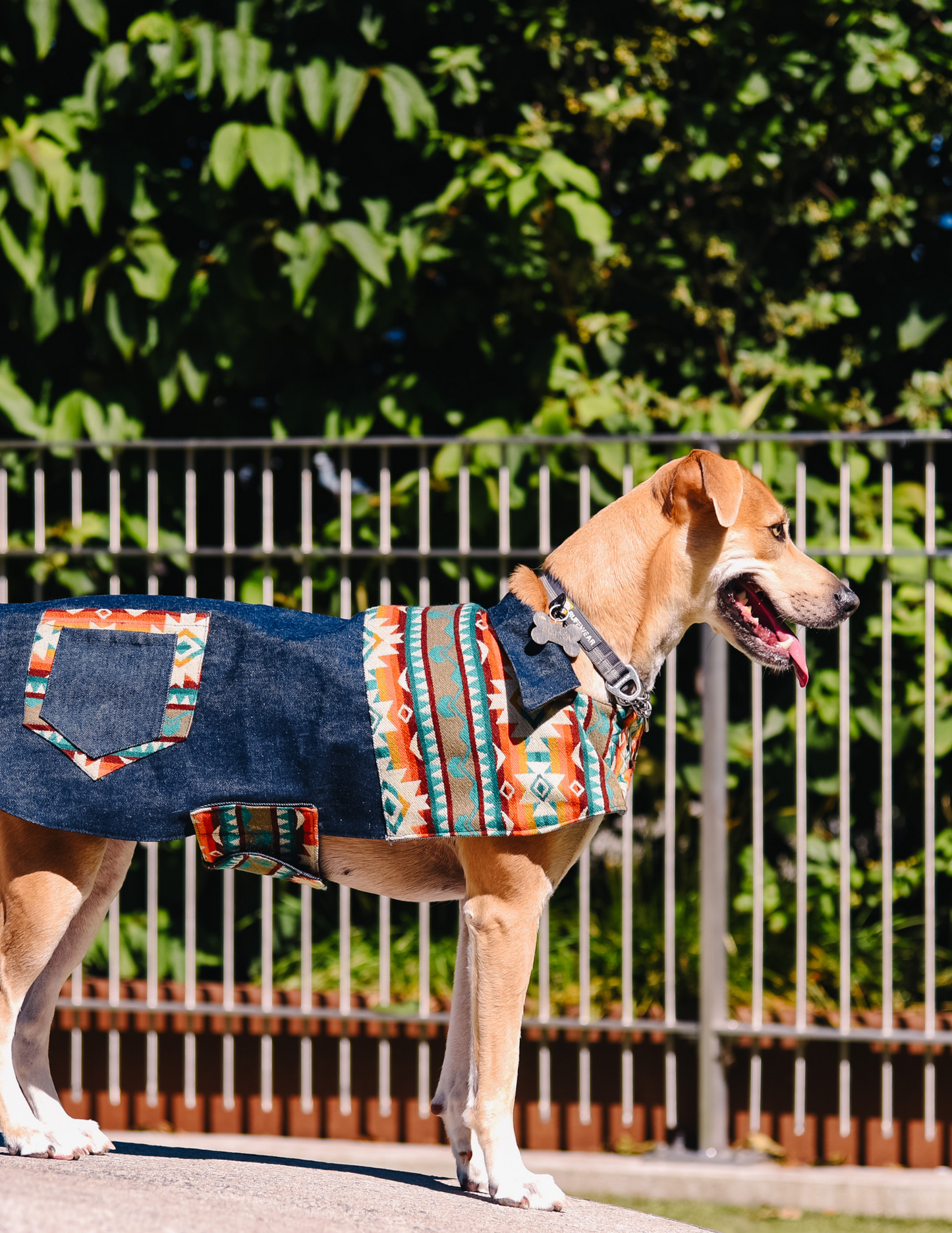 Doggie Andean Denim Vest