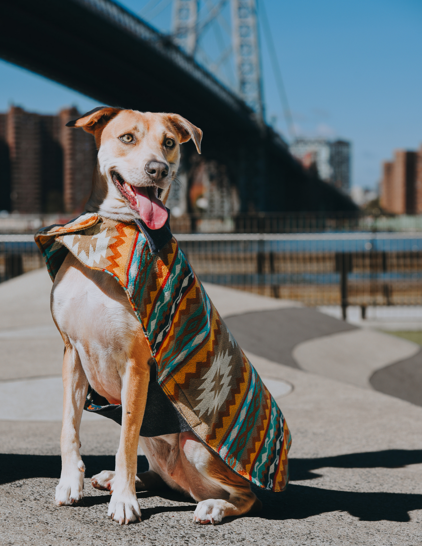 Doggie Andean Denim Vest