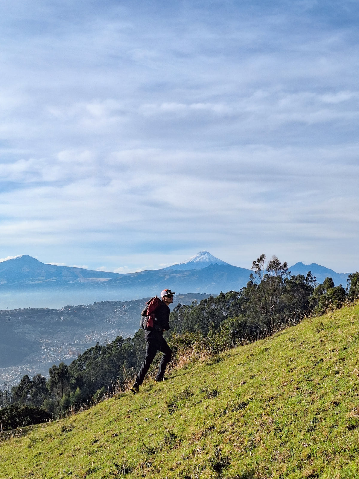 Páramo · Cotopaxi