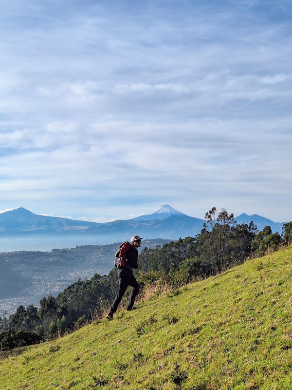 Páramo · Cotopaxi