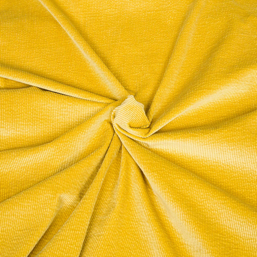 Corduroy / Pana