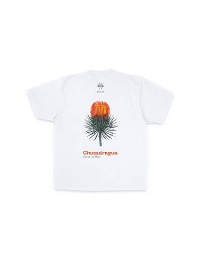 Chuquiragua
