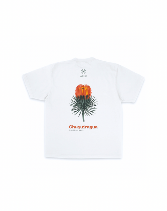 Chuquiragua