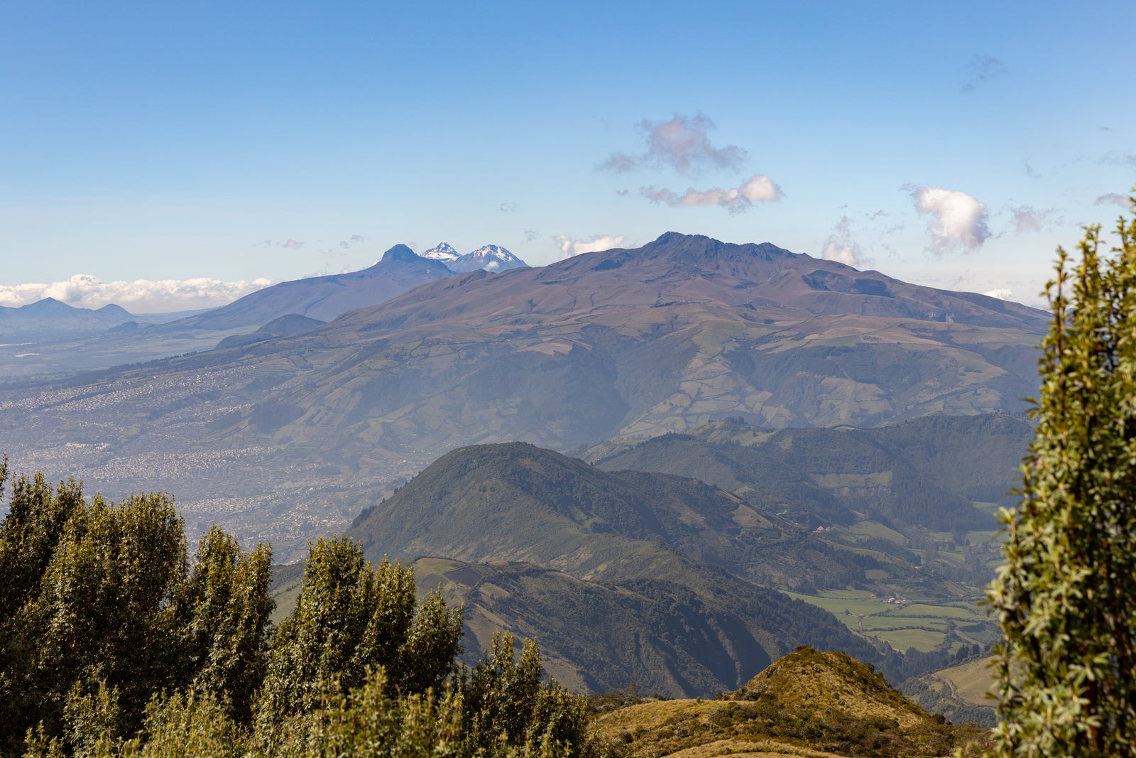 Bosque nublado