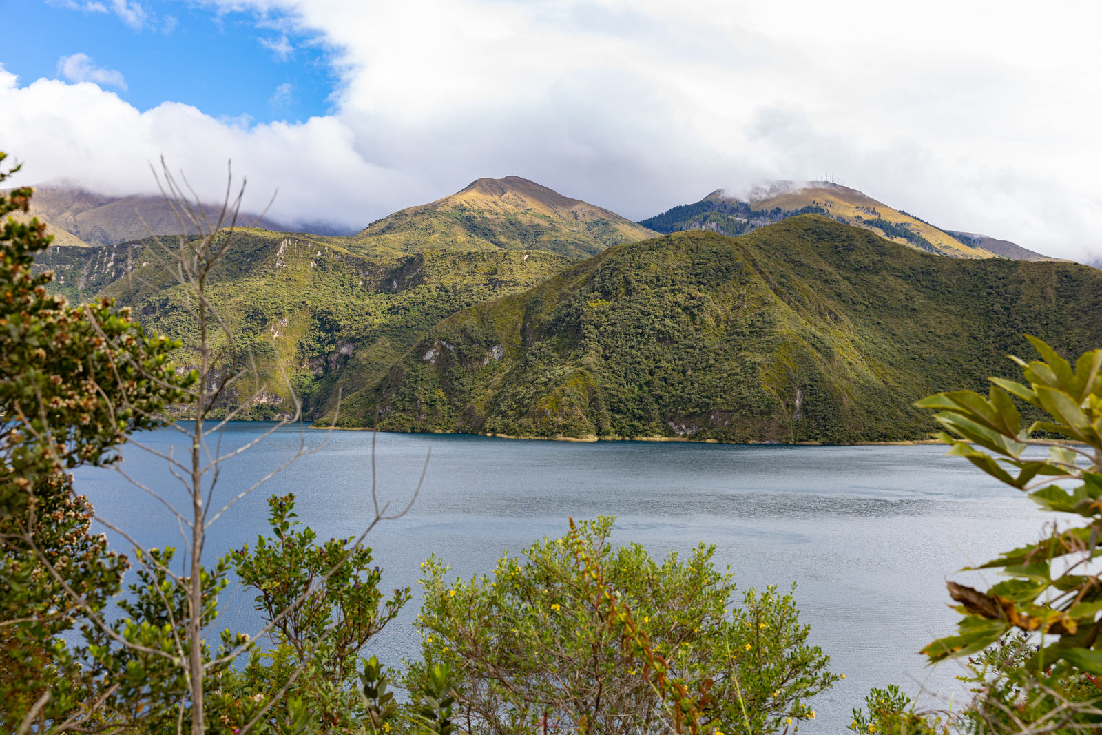 Laguna
